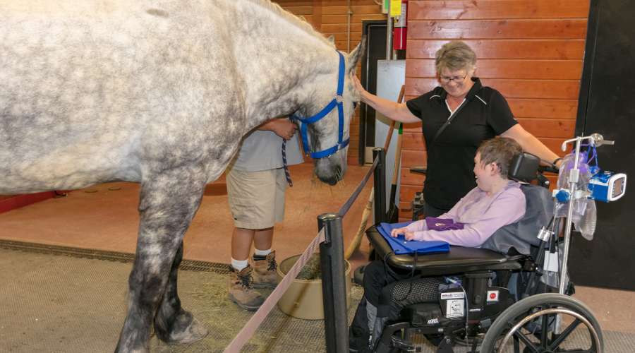 Wildest Dreams Returns to Assiniboine Park Zoo
