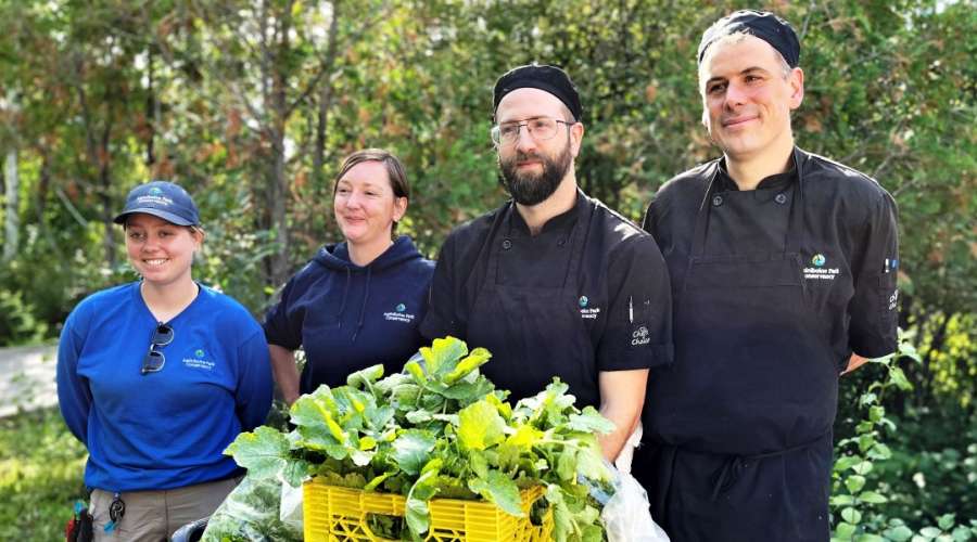 Harvest at the Kitchen Garden