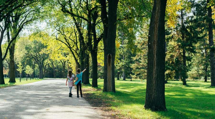 The Life-giving Benefits of Trees