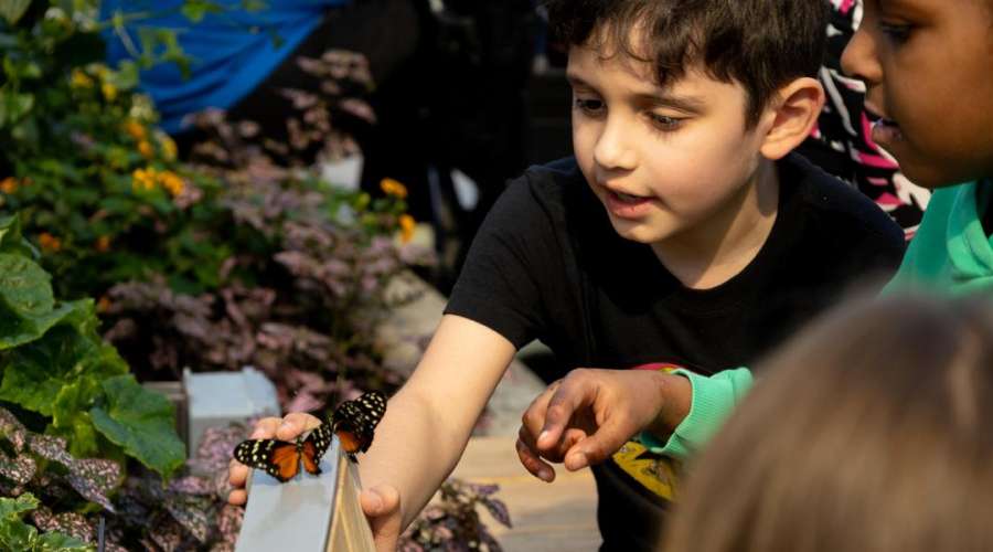 Sharing is Caring: Impact of the ParkShare Program