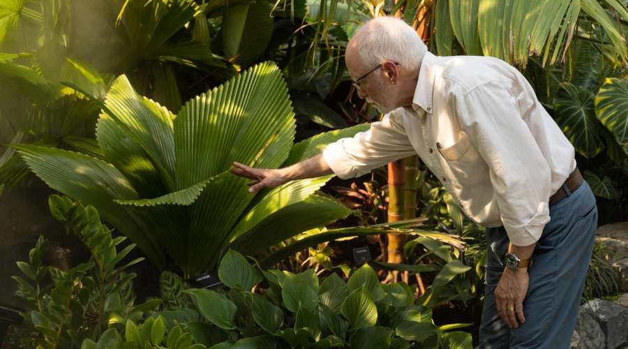 The Leaf's Lush Oasis: Exploring the Tropical Biome with Plant Designer Rob Halpern