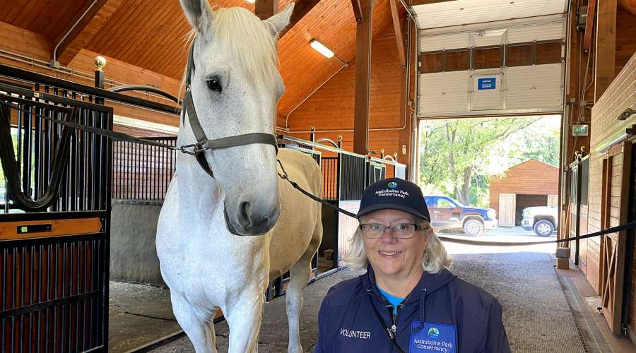 Volunteer Profile: Collaborating to Care for our Creatures