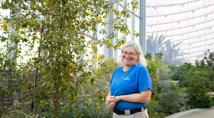 Beneath the Bark: Connecting the Cork Oak to Sustainability