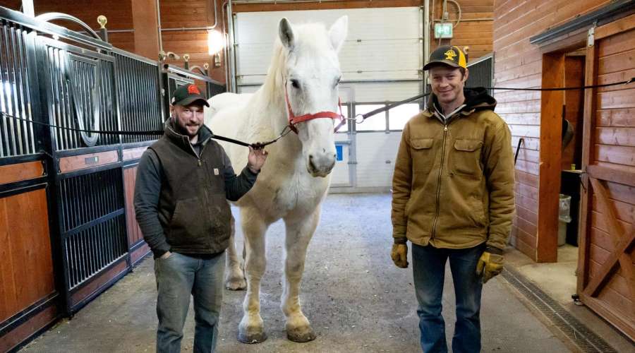 Step into the Hoofprints: A Day in the Life of Farriers at the Zoo