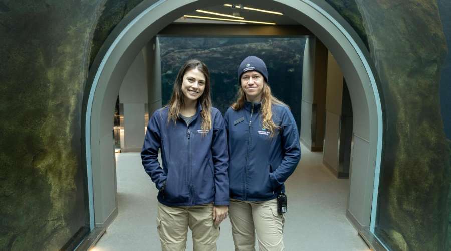 The World of Zoo Medicine: Inside the Veterinary Internship Experience