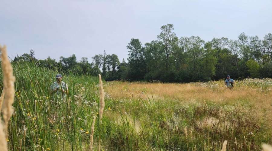 Photographing the Wild: Park Biodiversity Monitoring Program