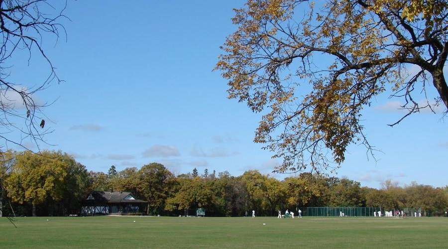 Introducing Princess Auto Cricket Field