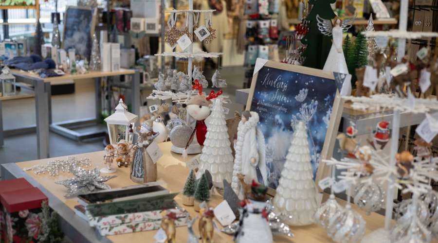 Wild Things Unique Gifts: 2024 Holiday Gift Guide
