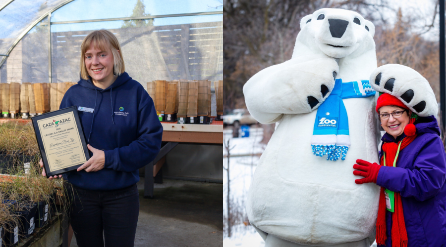 Our Award-Winning Team