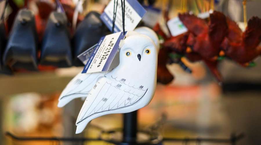 Wild Things Unique Gifts: 2025 Holiday Gift Guide