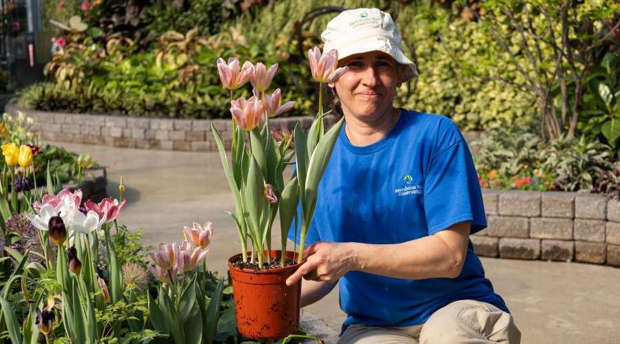 The Secret to Nonstop Blooms in the Kaleidoscope of Spring