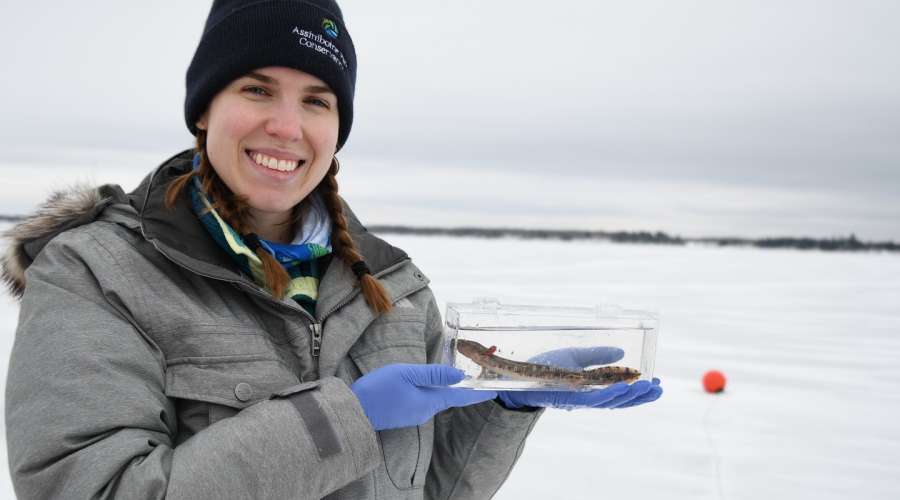 Behind the Project: Brooklynne Keber and the Manitoba Mudpuppy