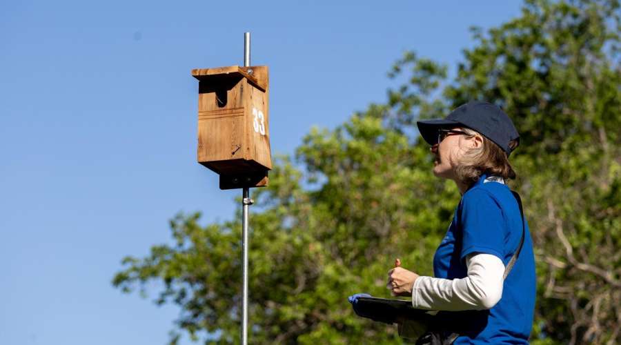 Birds by the Numbers: A Look at This Year’s Bird Conservation Initiatives