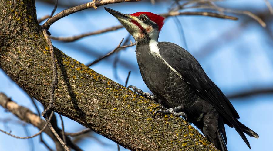 Learn how to mindfully connect with nature