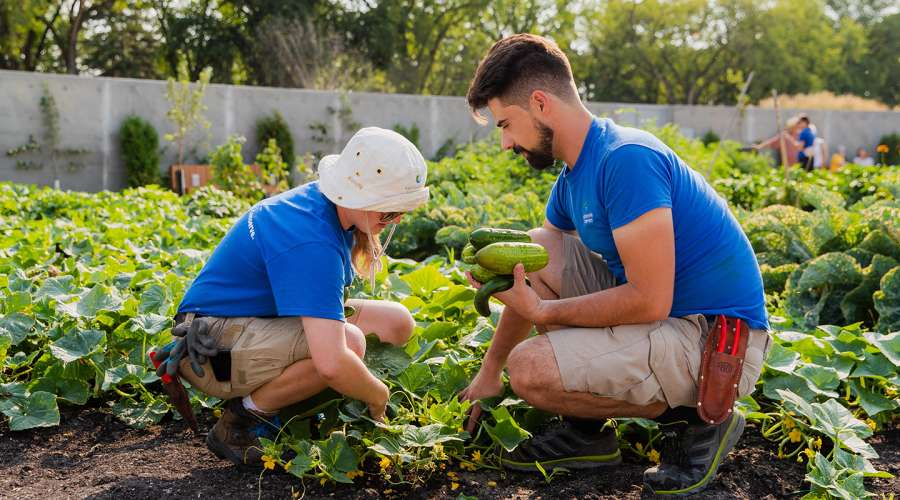 How to Shorten Your Food Supply Chain this Summer