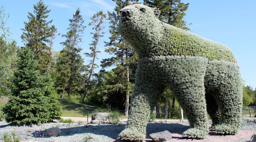Plant Profile: Animal Mosaics / Mosaiculture