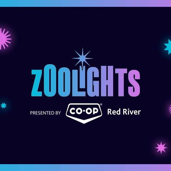 Zoo Lights