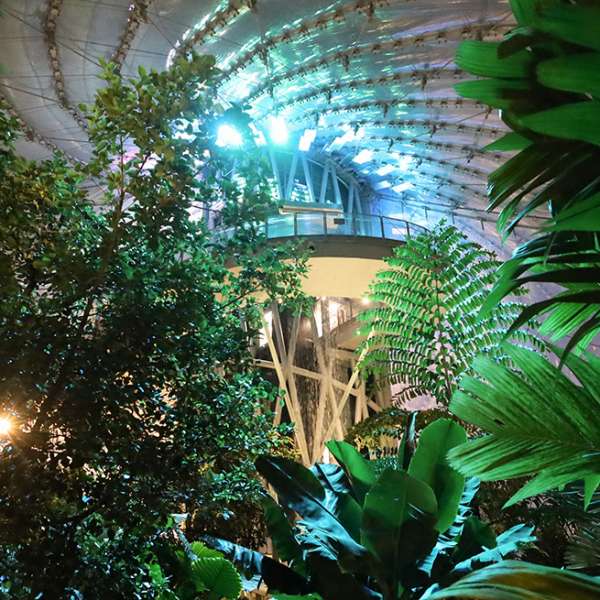 Leaf After Dark: Fleurs de Villes