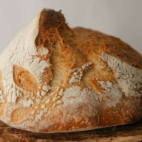Introduction to Sourdough with Jared Ozuk - SOLD OUT