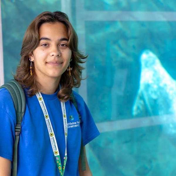Meet Me at the Zoo Free Tours