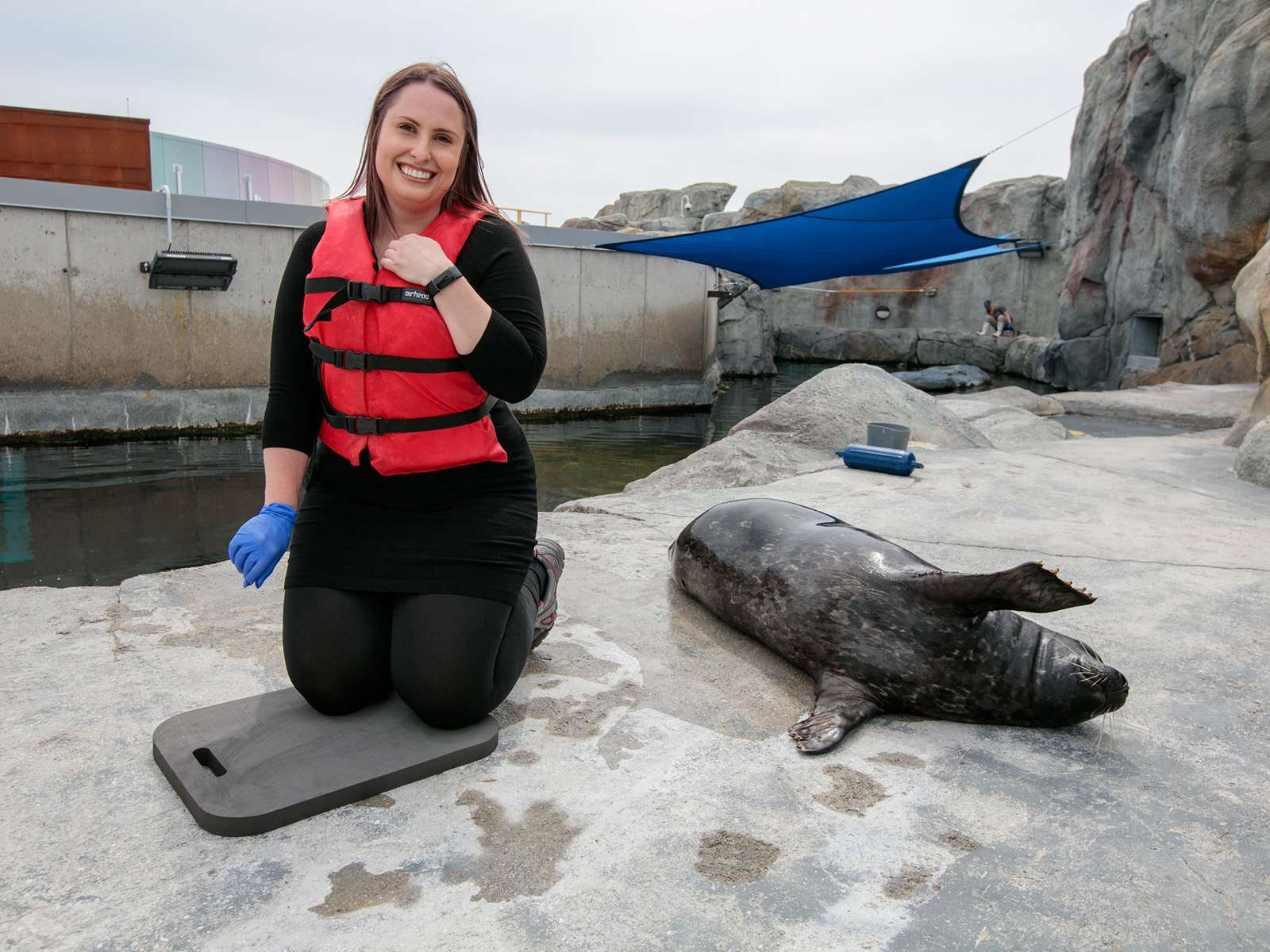  - Behind the Scenes: Harbour Seal Honorary Trainer