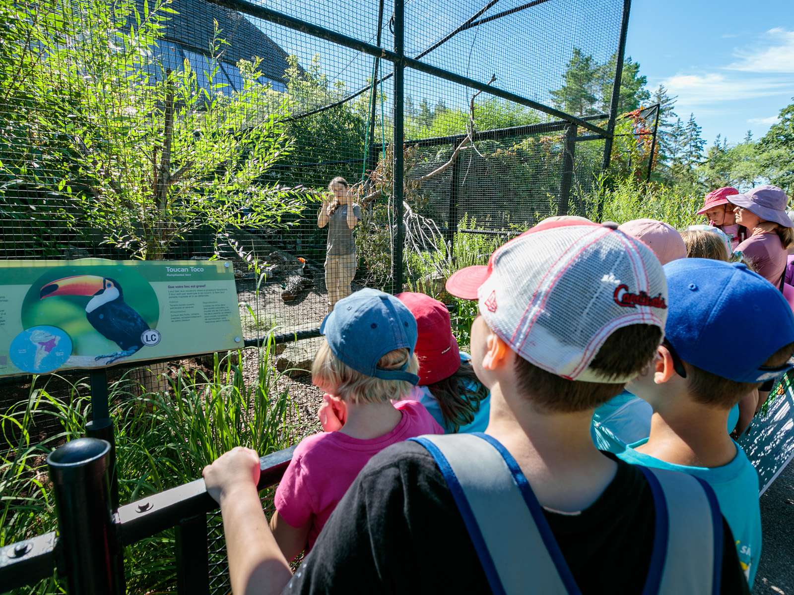- Zoo In-Service Camp