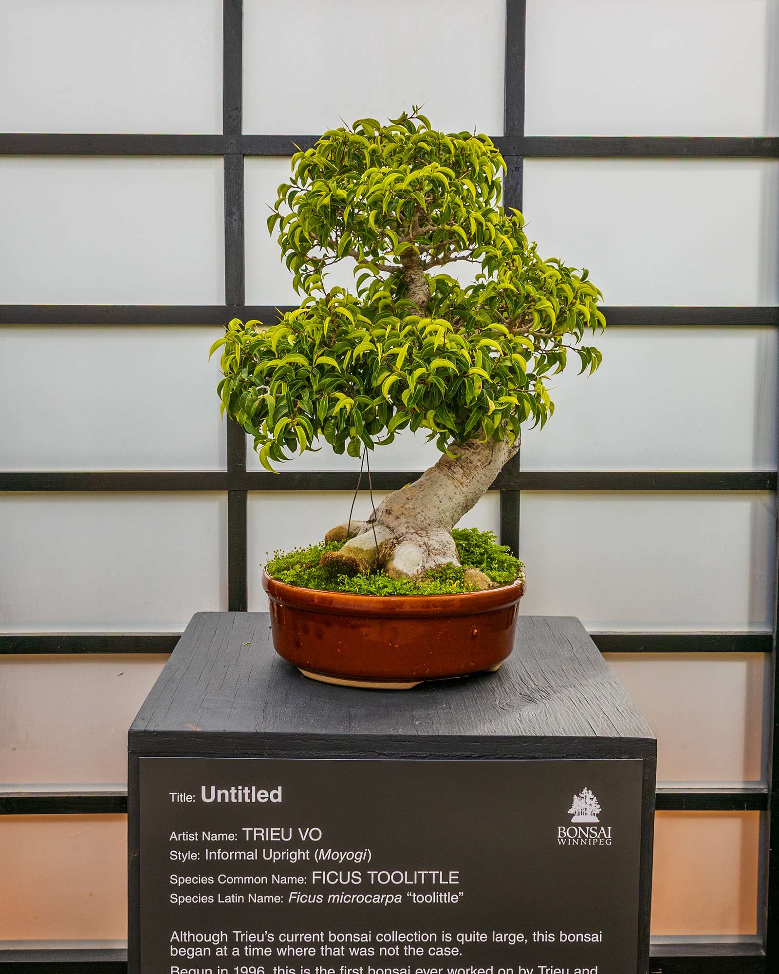 Workshop - Introduction to Bonsai with the Winnipeg Bonsai Society | October 18