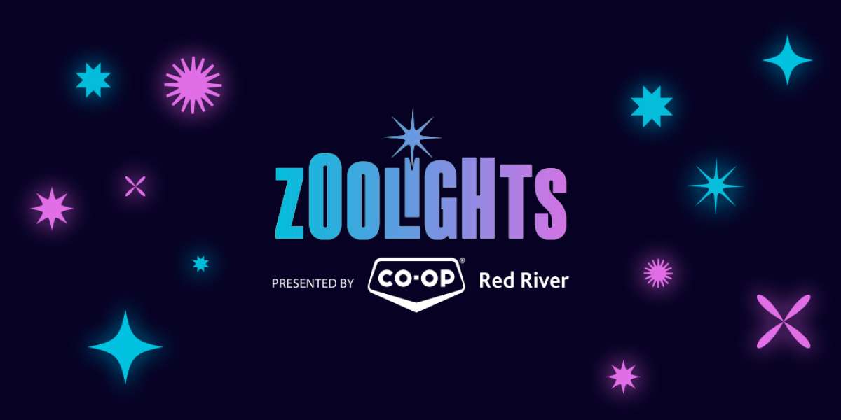 Colour Story Link - Zoo Lights