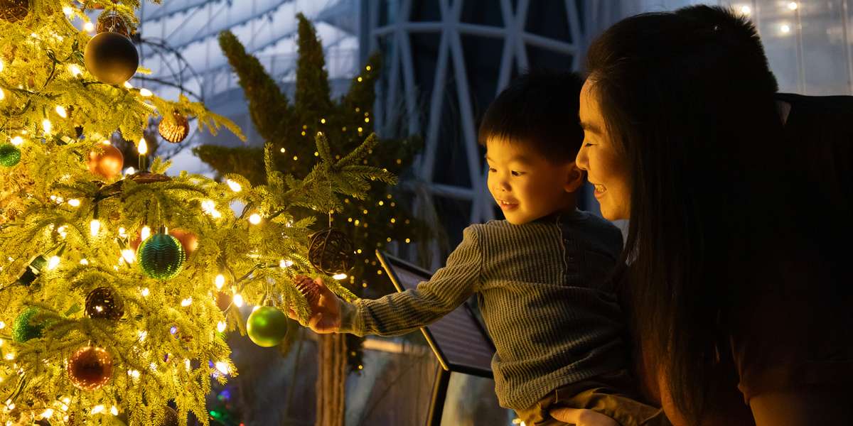  - Coming Soon: Luminous