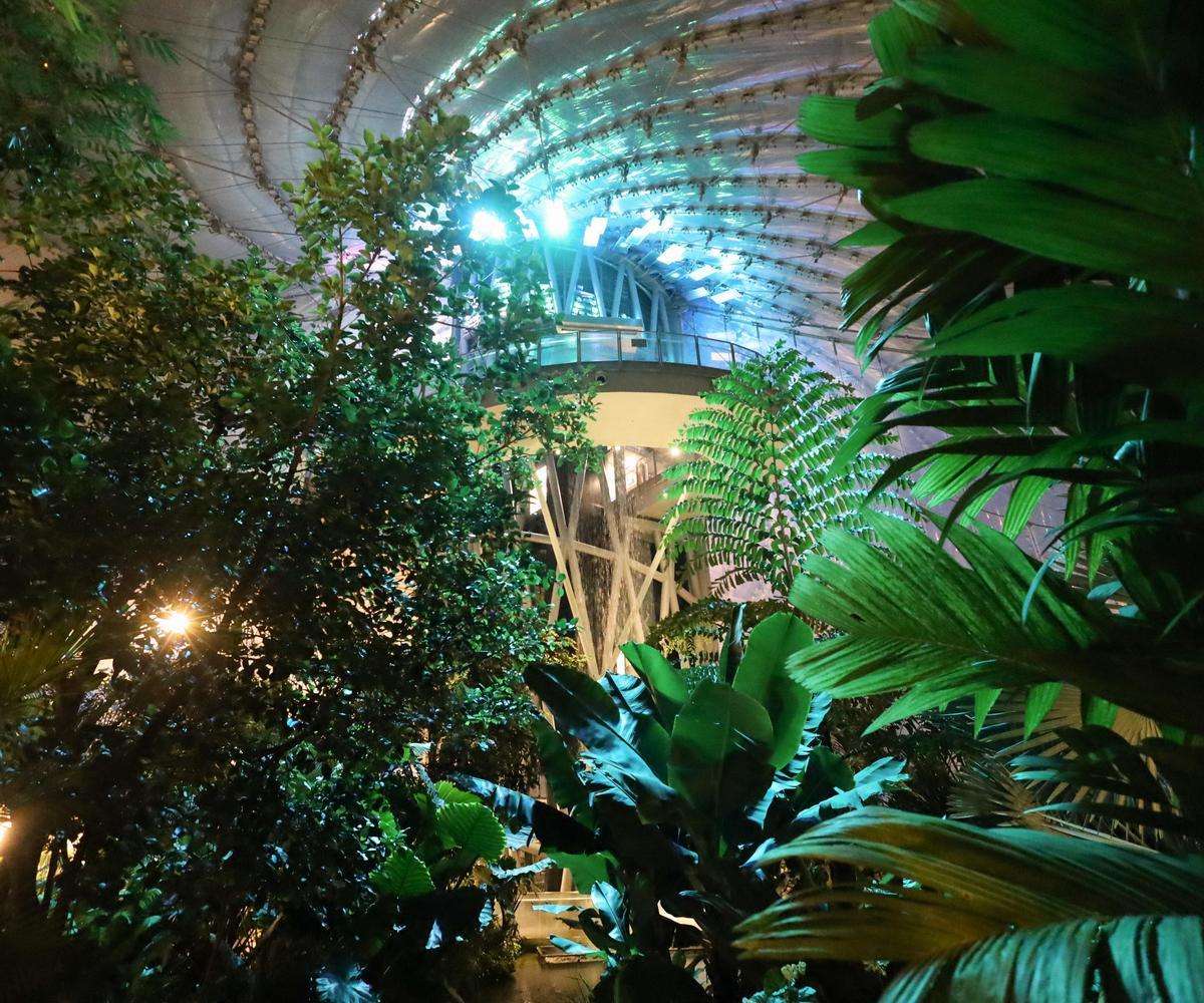 Workshop - Game Nights at The Leaf: Trivia Night | February 5