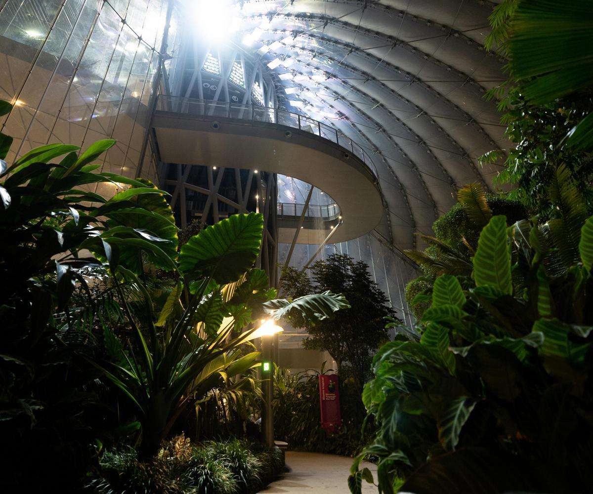 Workshop - Game Nights at The Leaf: Escape Adventure - Space Trek | April 2