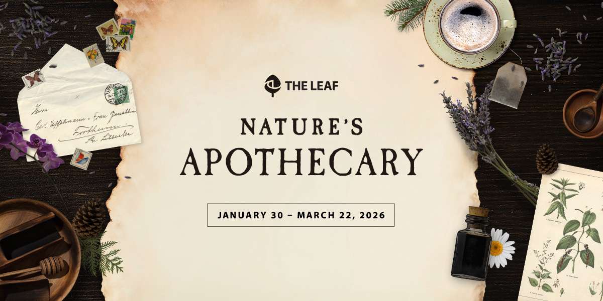 Colour Story Link - Nature's Apothecary