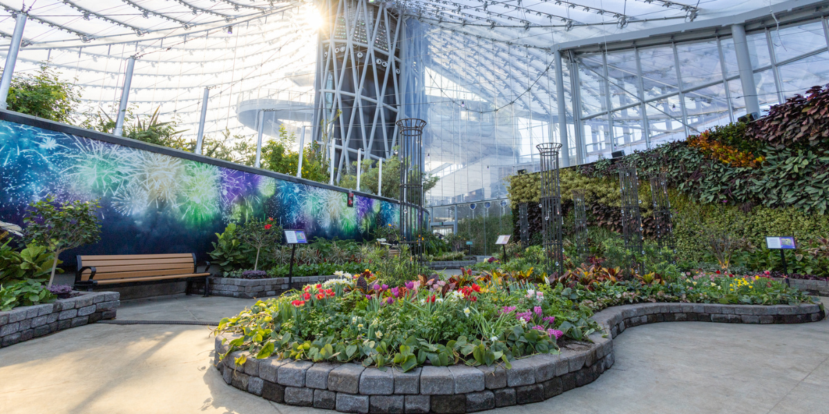 Colour Story Link - The Kaleidoscope of Spring