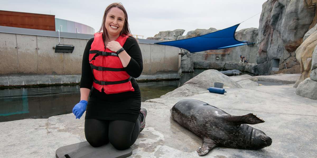 Colour Story Link - Behind the Scenes Tours