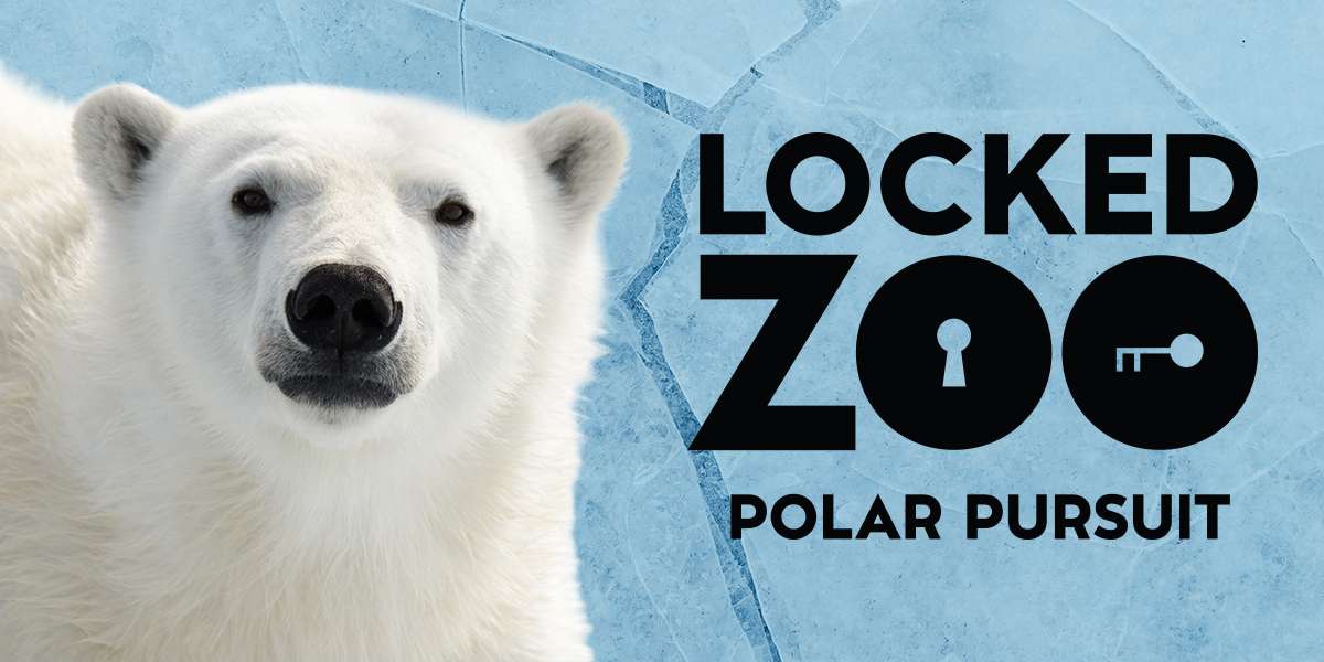 Colour Story Link - Locked Zoo - Polar Pursuit