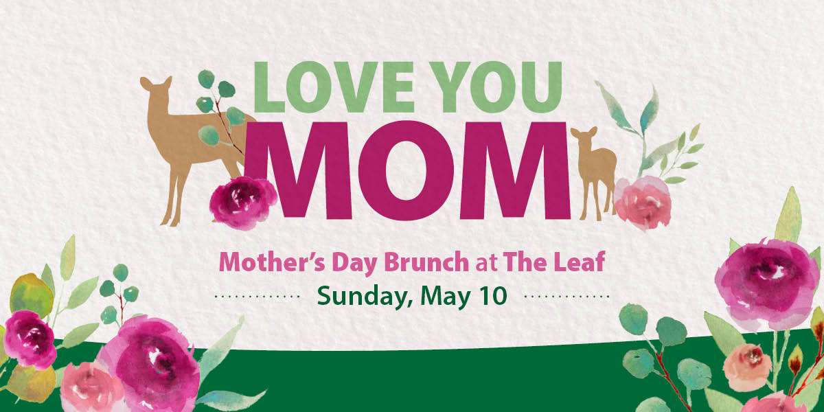 Colour Story Link - Mother's Day Brunch