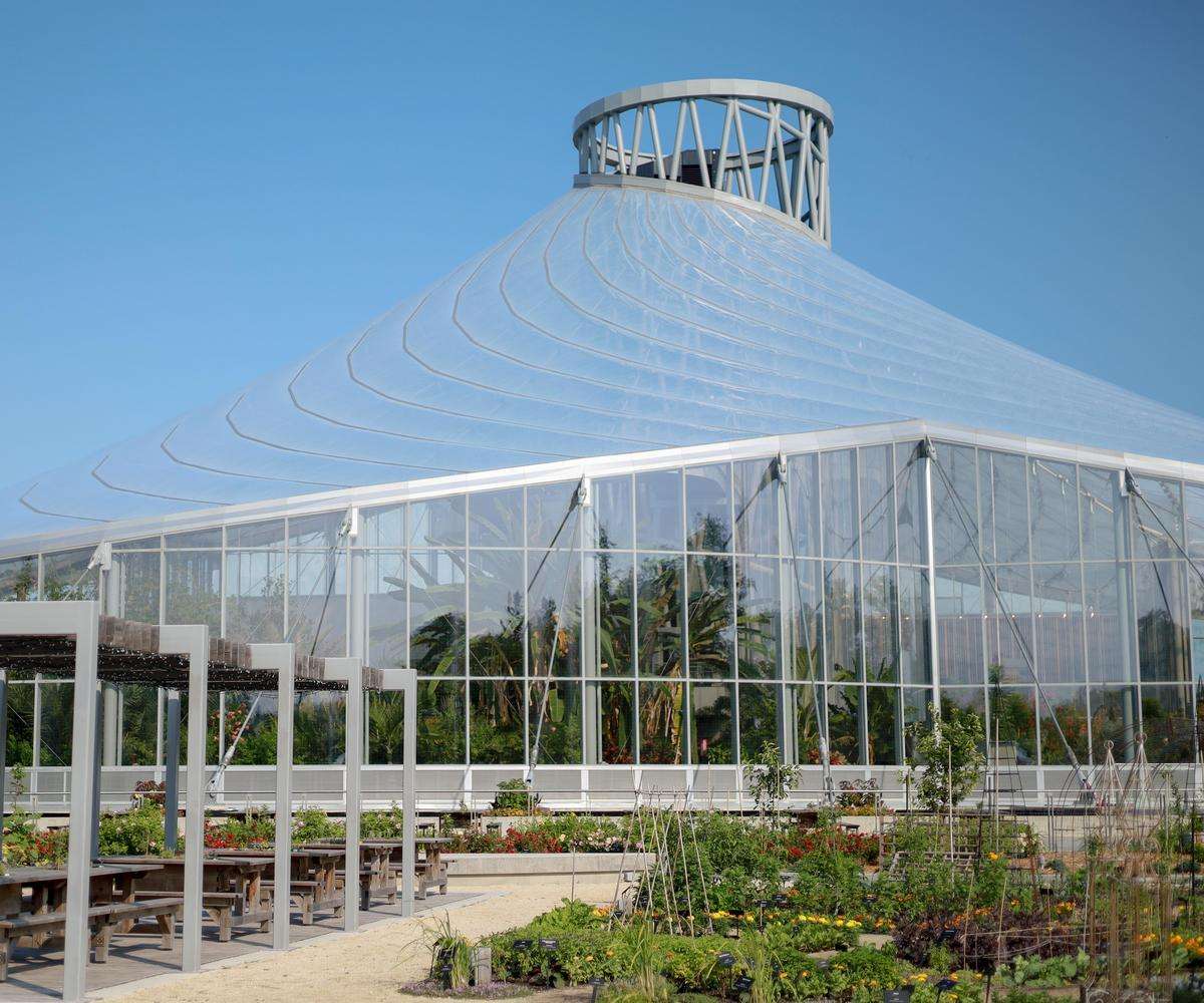Workshop - From Garden to Gather | July 14 - August 25