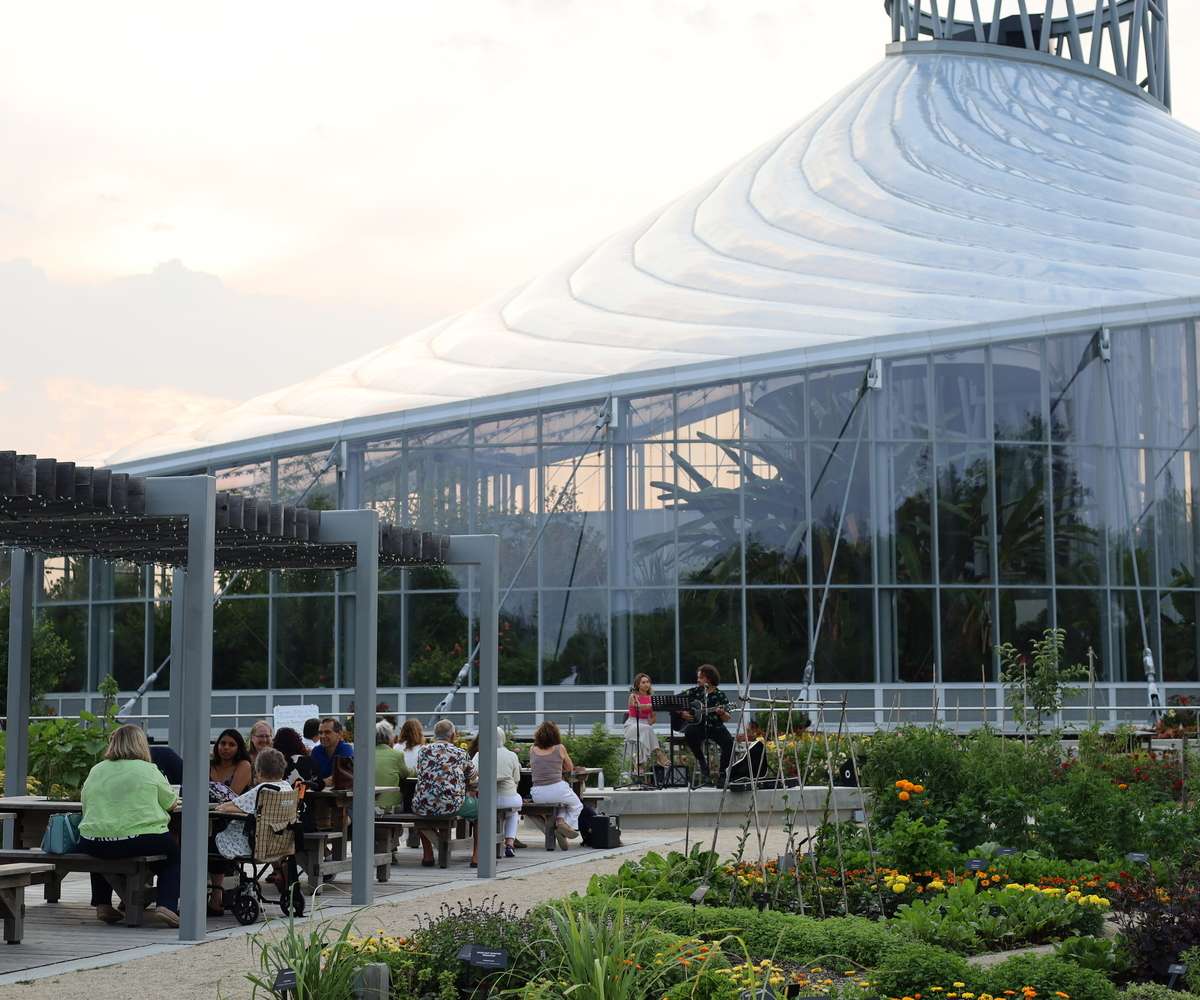 Workshop - Bevvies, Bites, and Hot Summer Nights | July 8 - August 19