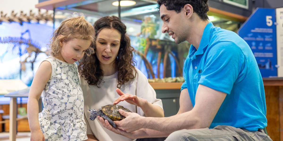 Colour Story Link - What's On at The Zoo