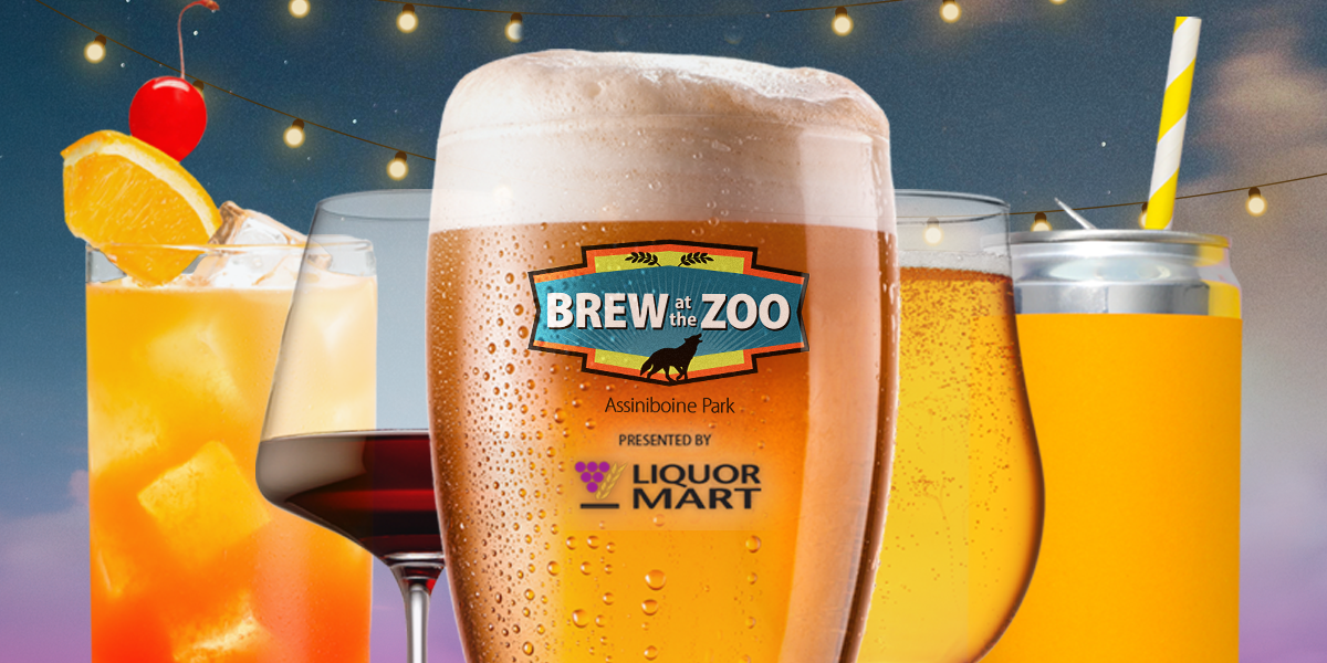 Colour Story Link - Brew at the Zoo