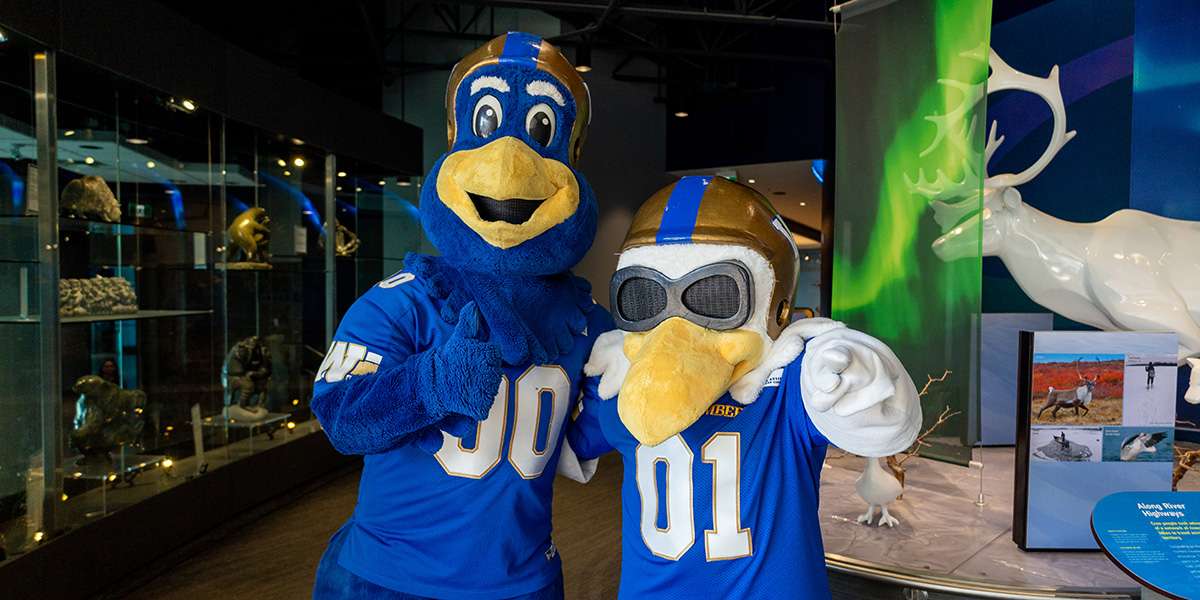 Colour Story Link - Blue Bombers Day at the Zoo