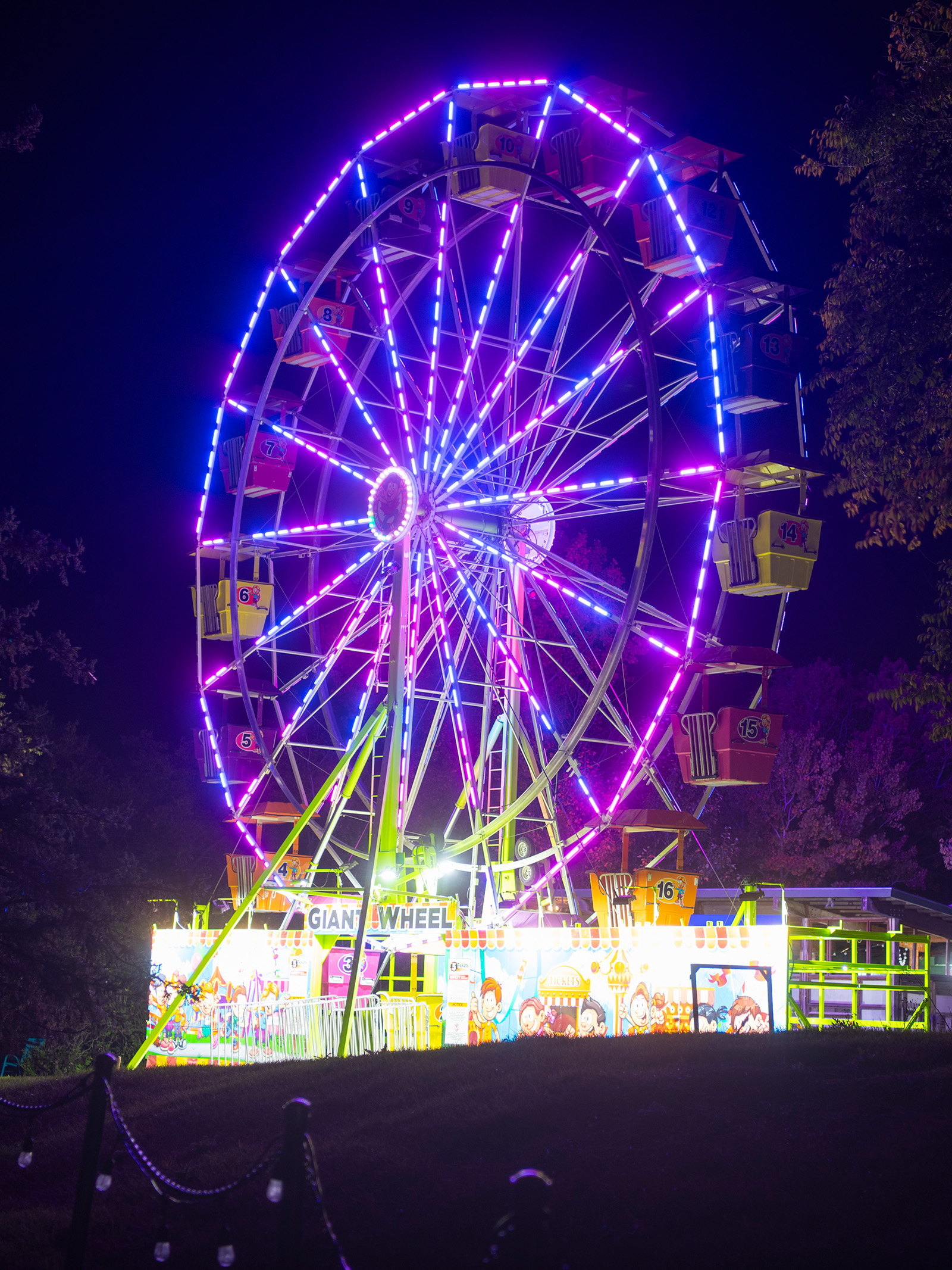 A ferris wheel glowing with lights in the dark