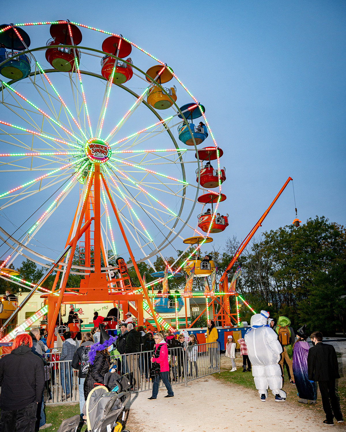 crowds gather around a ferris wheel at the Zoo