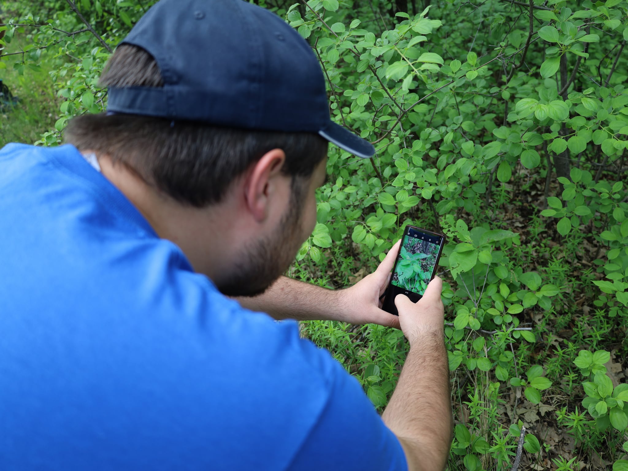 Conservation-2.jpg (1.83 MB)