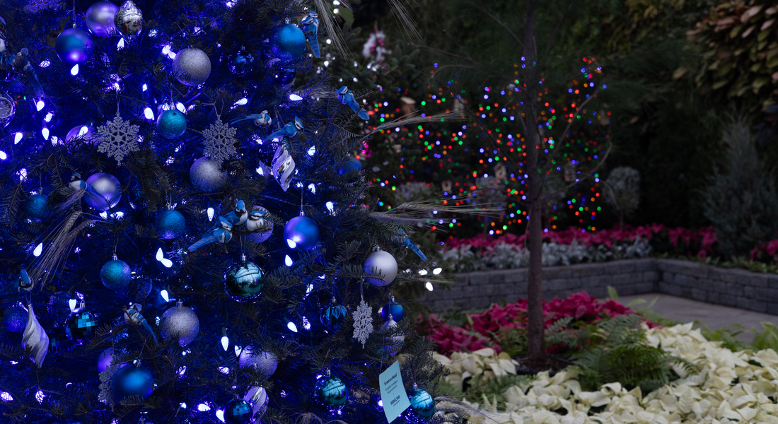 IMG_2845.png (1.16 MB)