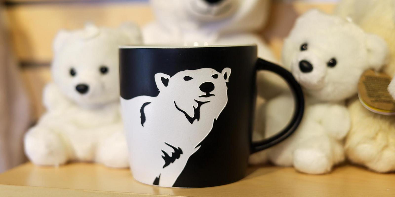 IMG_9479.jpg (104 KB)