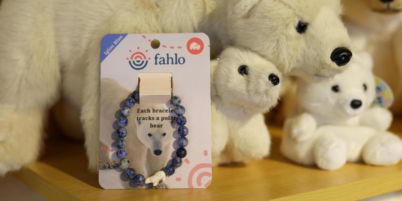 IMG_9496.jpg (131 KB)