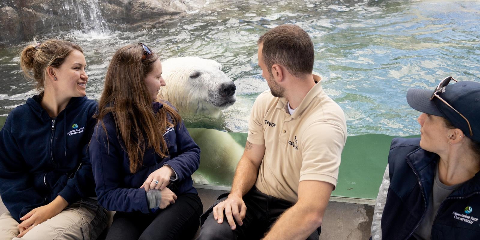 IMG_0426.jpg (246 KB)