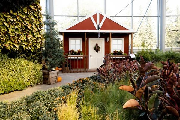 IMG_8882.jpg (137 KB)