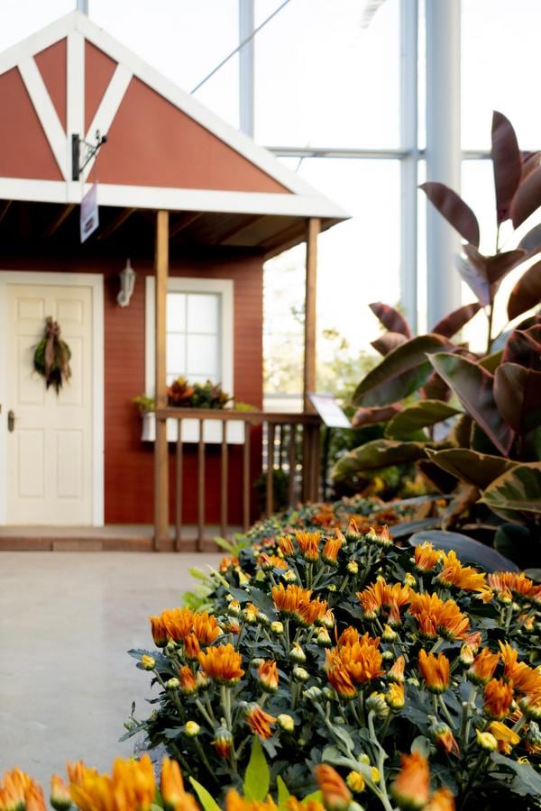 Farmers Shed, Abundance Display